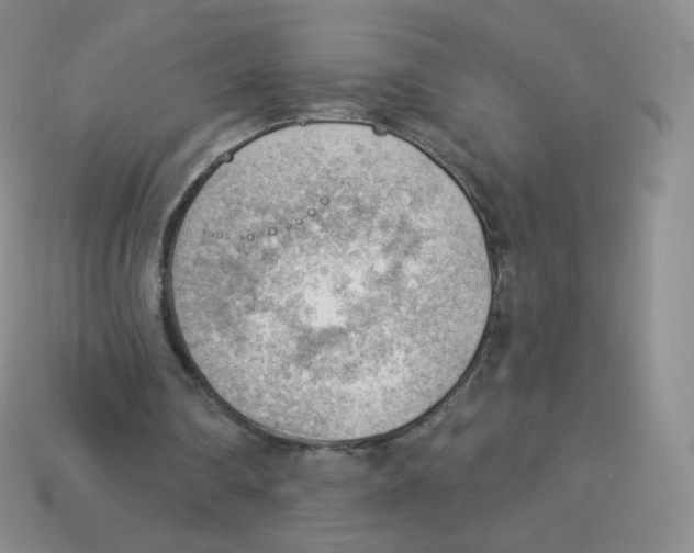 X0000113900290200910221444