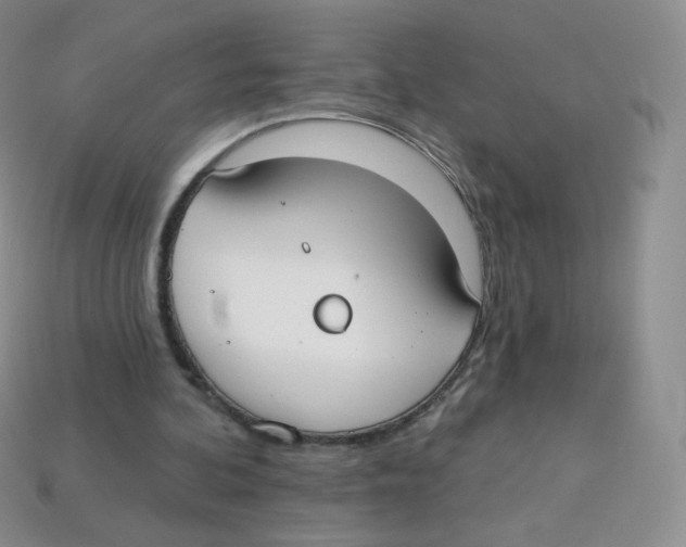 X0000113900292200910221444