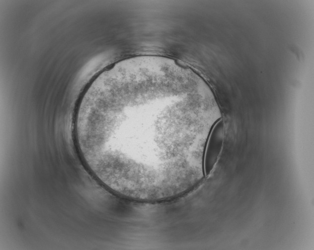 X0000113900293200910221444