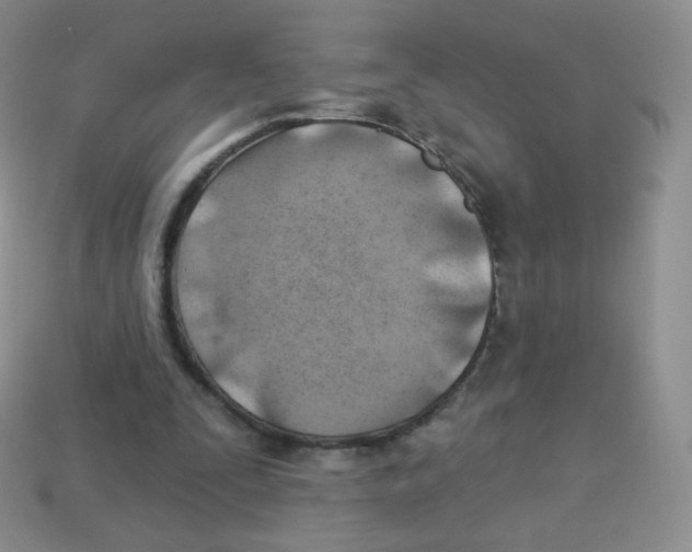X0000113900295200910221444