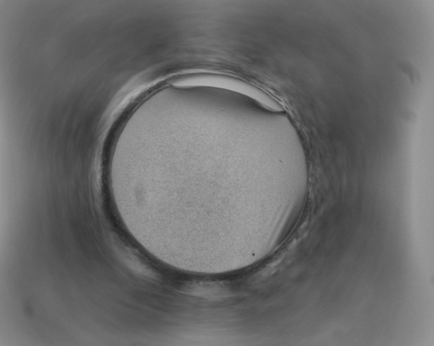 X0000113900296200910221444