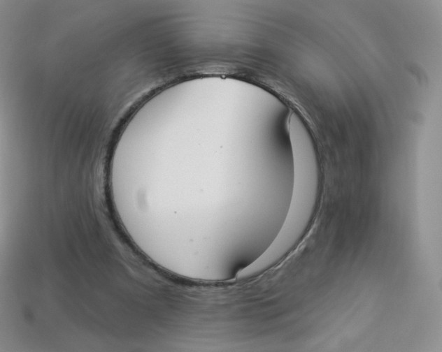 X0000113900297200910221444