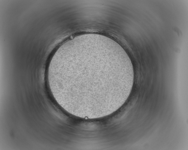 X0000113900299200910221444
