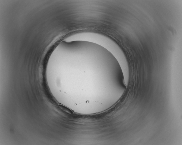 X0000113900300200910221444