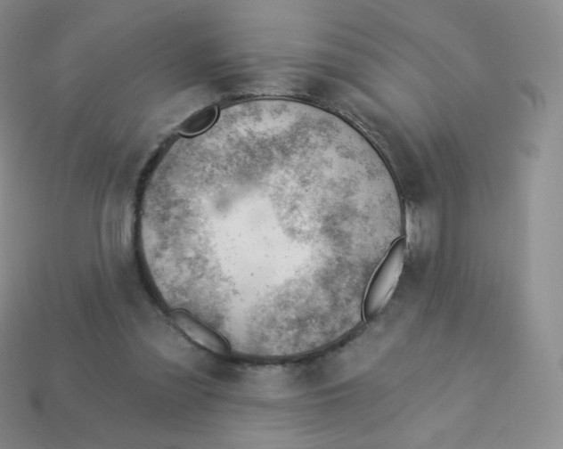 X0000113900301200910221444