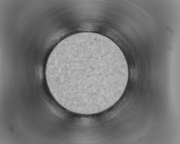 X0000113900302200910221444