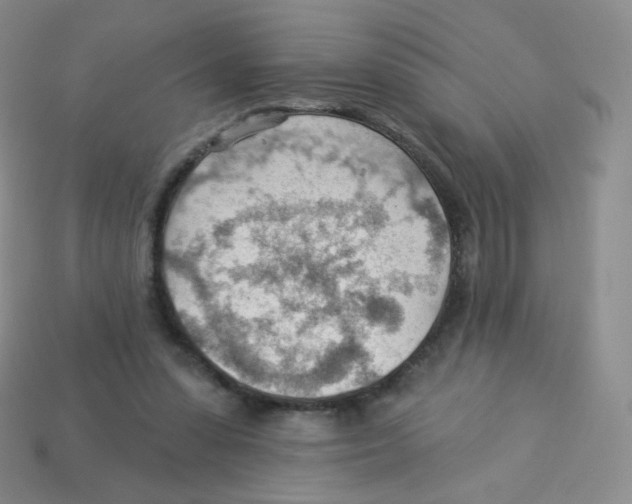 X0000113900303200910221444