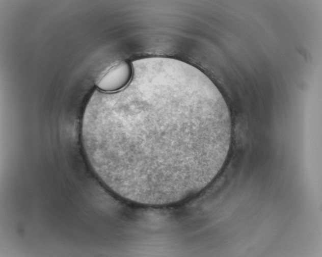 X0000113900305200910221444