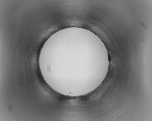 X0000113900306200910221444