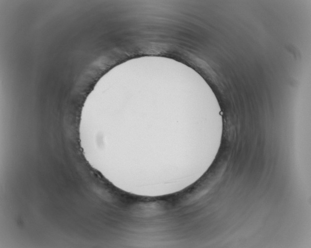 X0000113900307200910221444