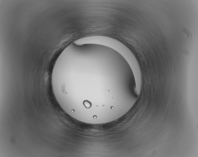 X0000113900308200910221444