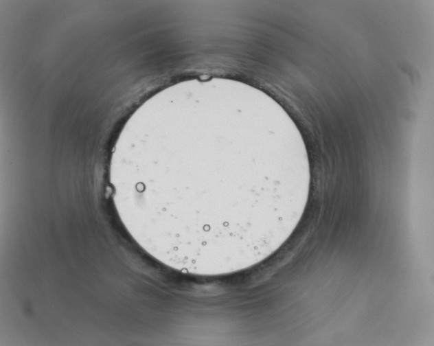 X0000113900309200910221444