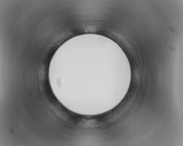 X0000113900311200910221444