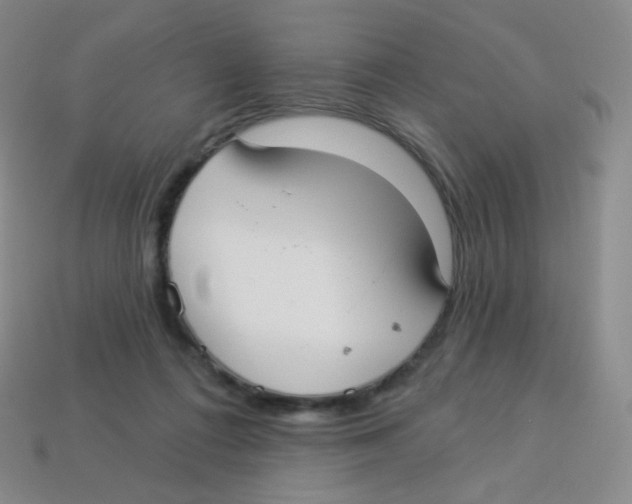 X0000113900312200910221444