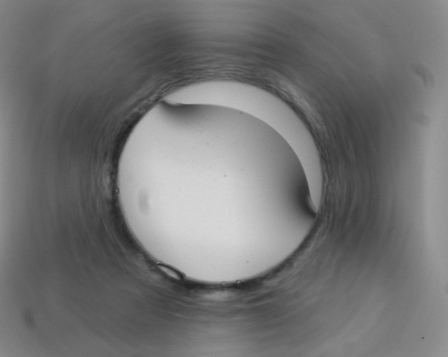 X0000113900313200910221444