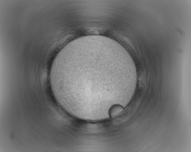 X0000113900314200910221444