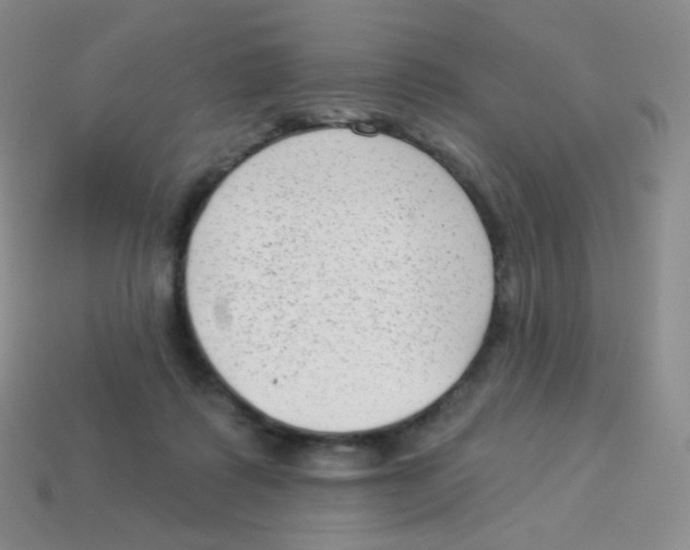 X0000113900315200910221444