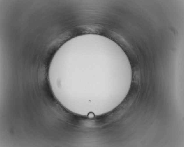 X0000113900318200910221444