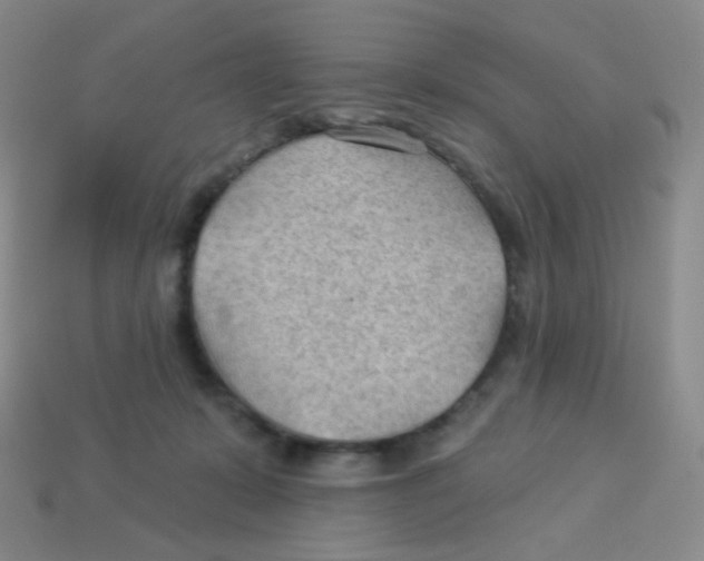 X0000113900319200910221444