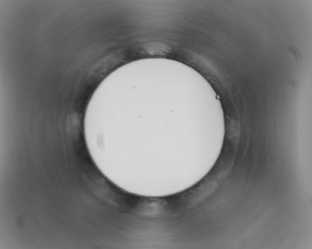 X0000113900321200910221443