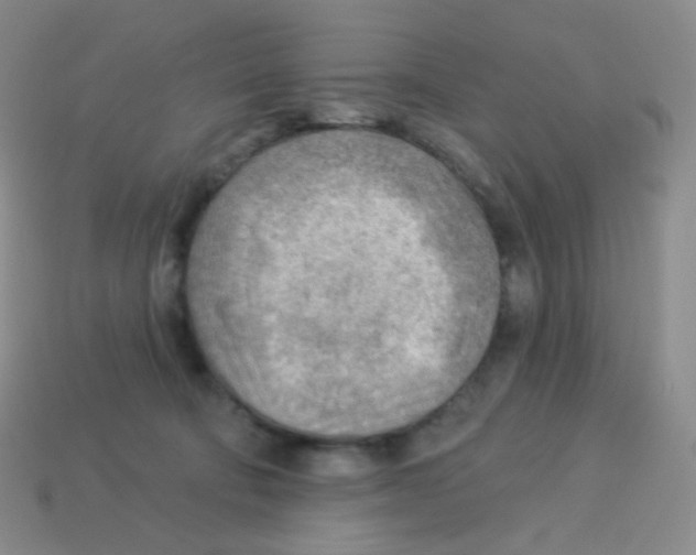 X0000113900322200910221443