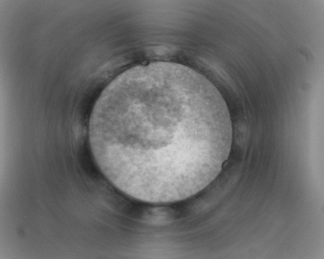 X0000113900324200910221443