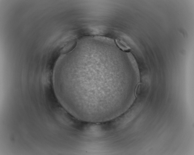 X0000113900325200910221443