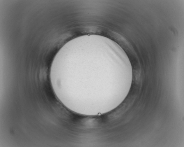X0000113900326200910221443