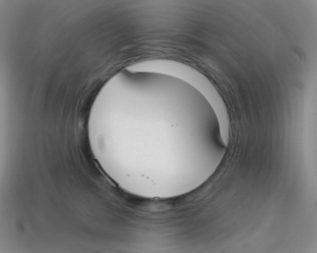 X0000113900327200910221443