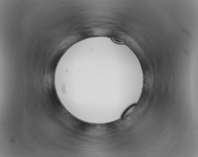 X0000113900329200910221443