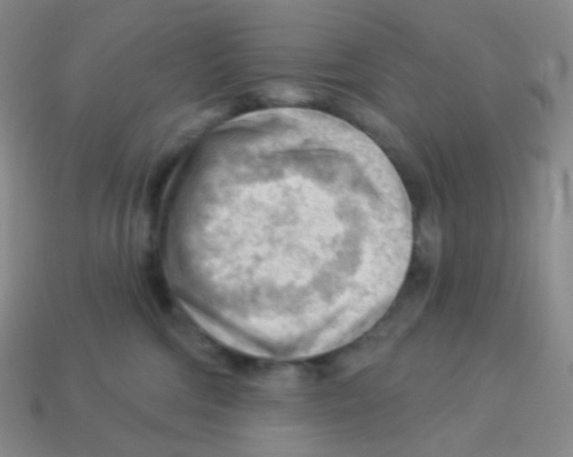X0000113900330200910221443
