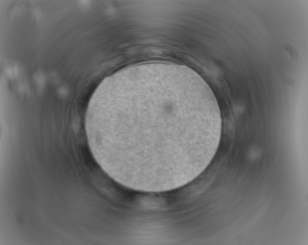X0000113900331200910221443