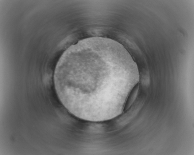 X0000113900332200910221443