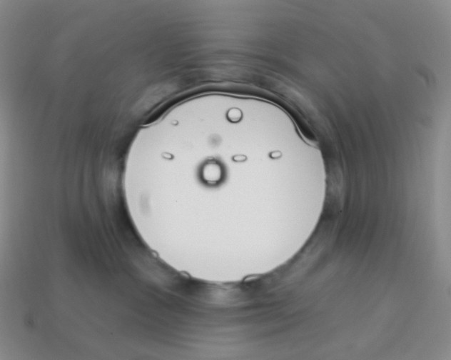 X0000113900333200910221443