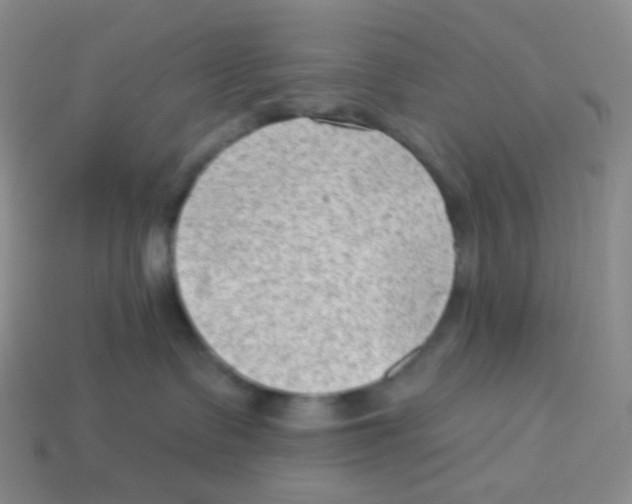 X0000113900335200910221443
