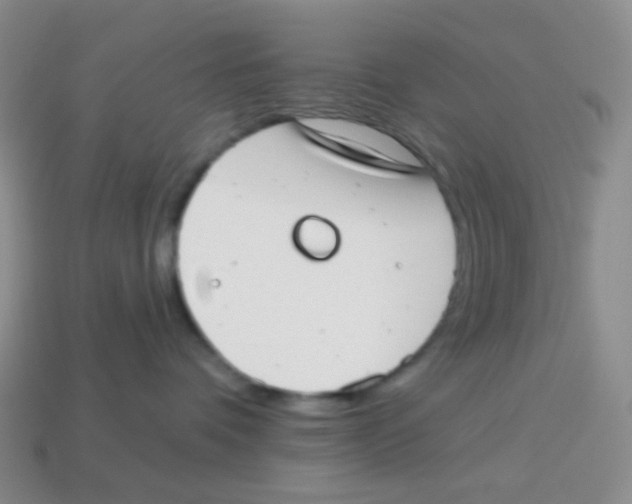 X0000113900336200910221443