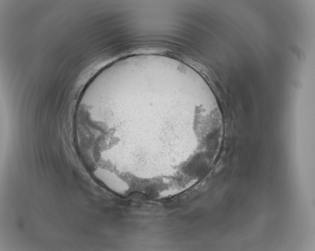 X0000113900337200910221443