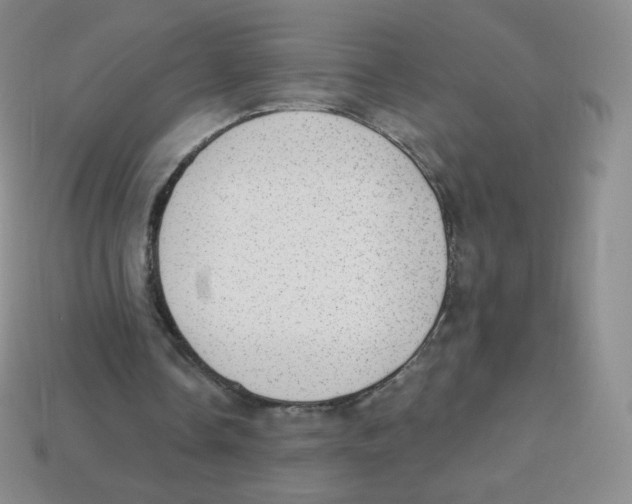 X0000113900338200910221443