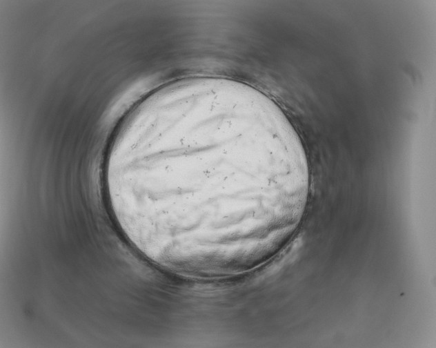 X0000113900341200910221443