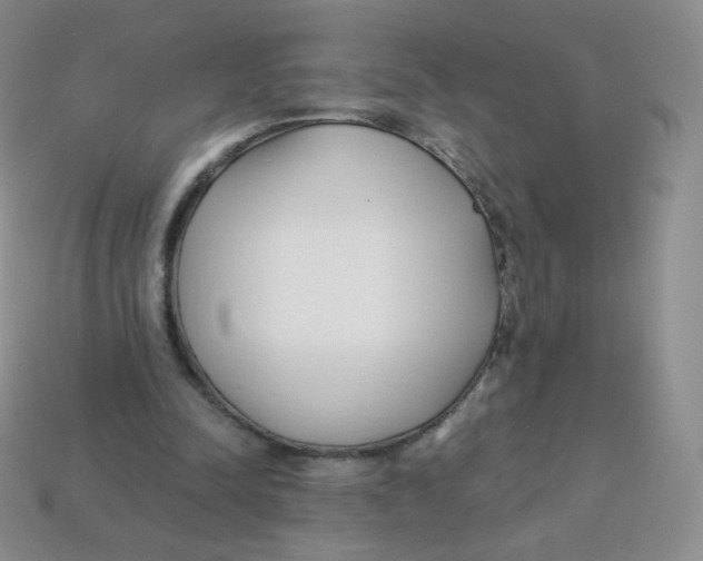 X0000113900342200910221443