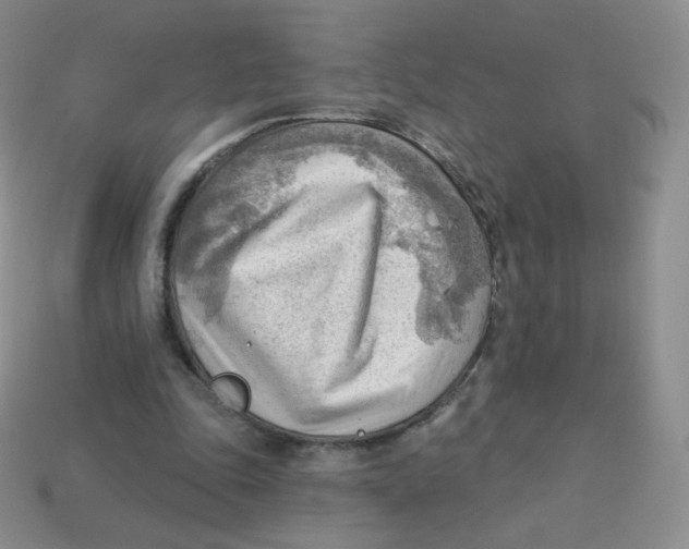 X0000113900343200910221443