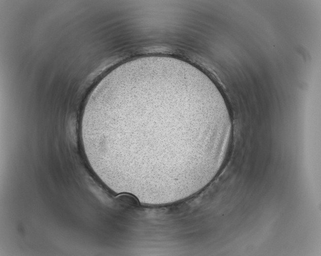 X0000113900345200910221443