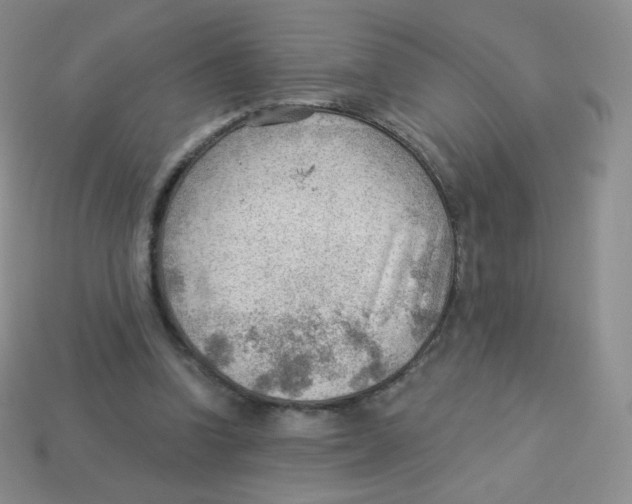 X0000113900346200910221443