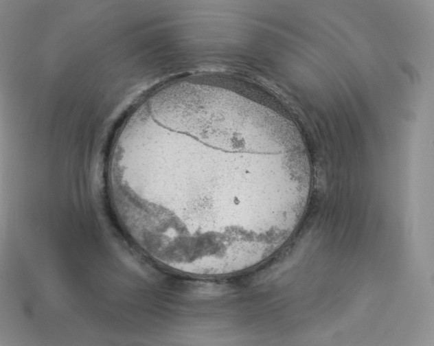 X0000113900347200910221443