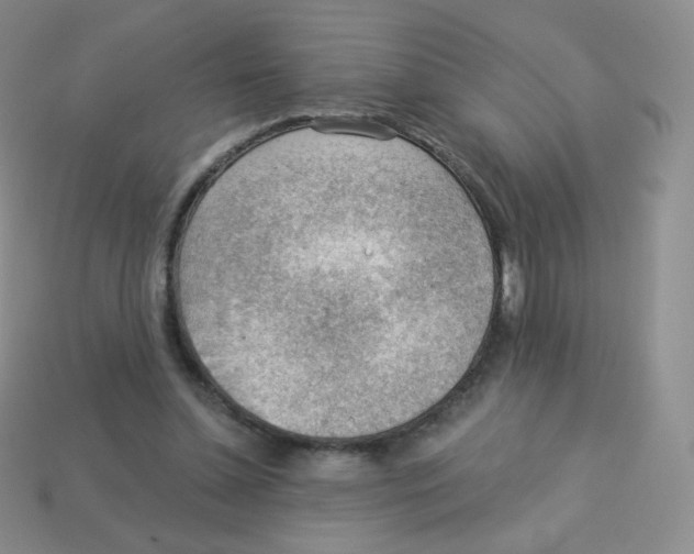 X0000113900348200910221443
