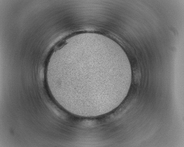 X0000113900350200910221443
