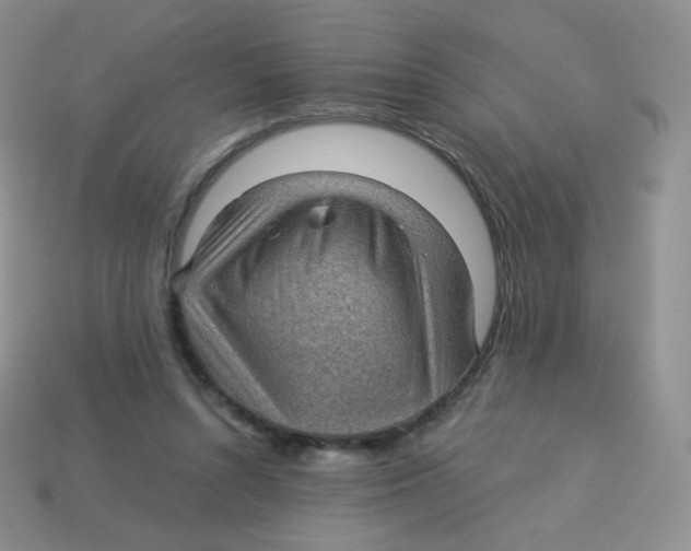 X0000113900352200910221443