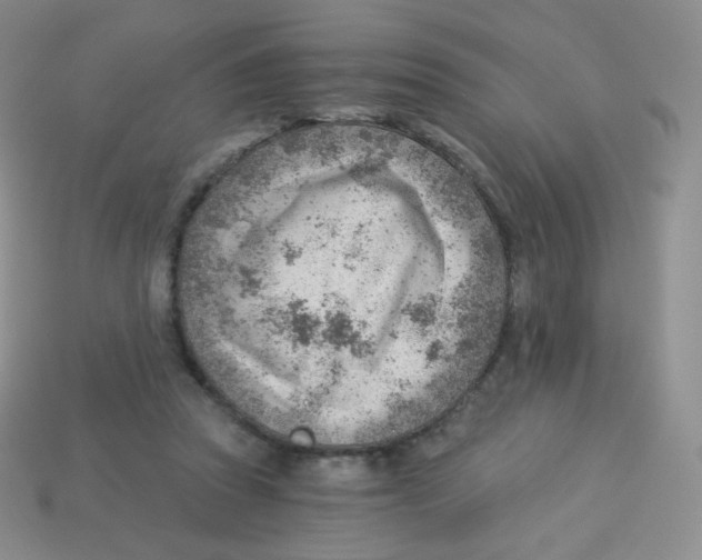 X0000113900353200910221443