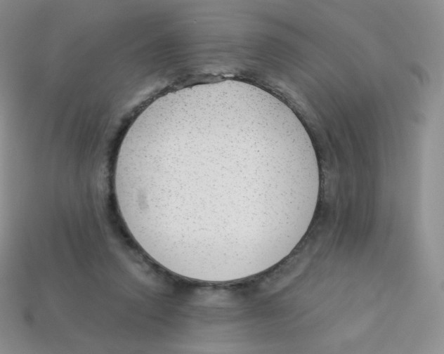 X0000113900354200910221443