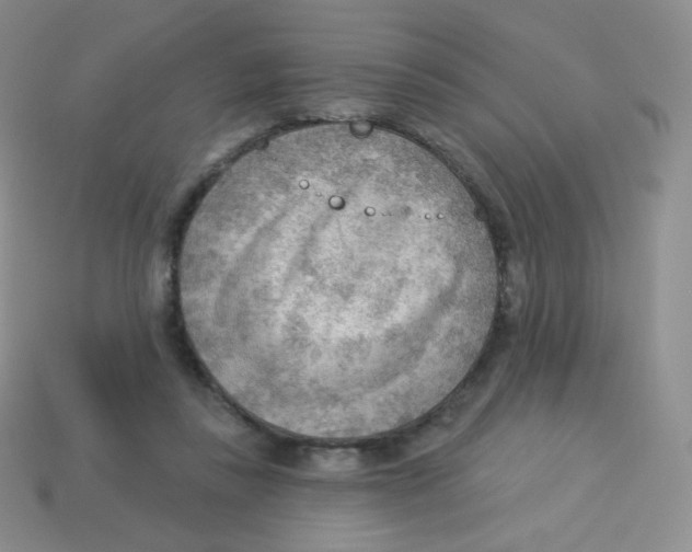 X0000113900355200910221443